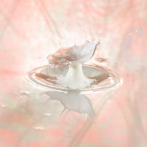 White Flower